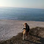 Siedlisko *